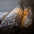 Body Pillow Hoes – Zebra (katoensatijn) image 1